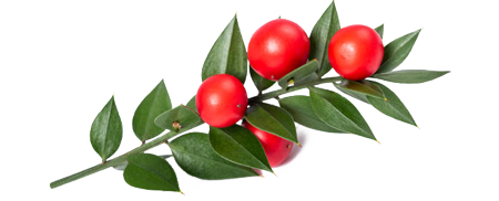 Ingriedients CELLUCARE